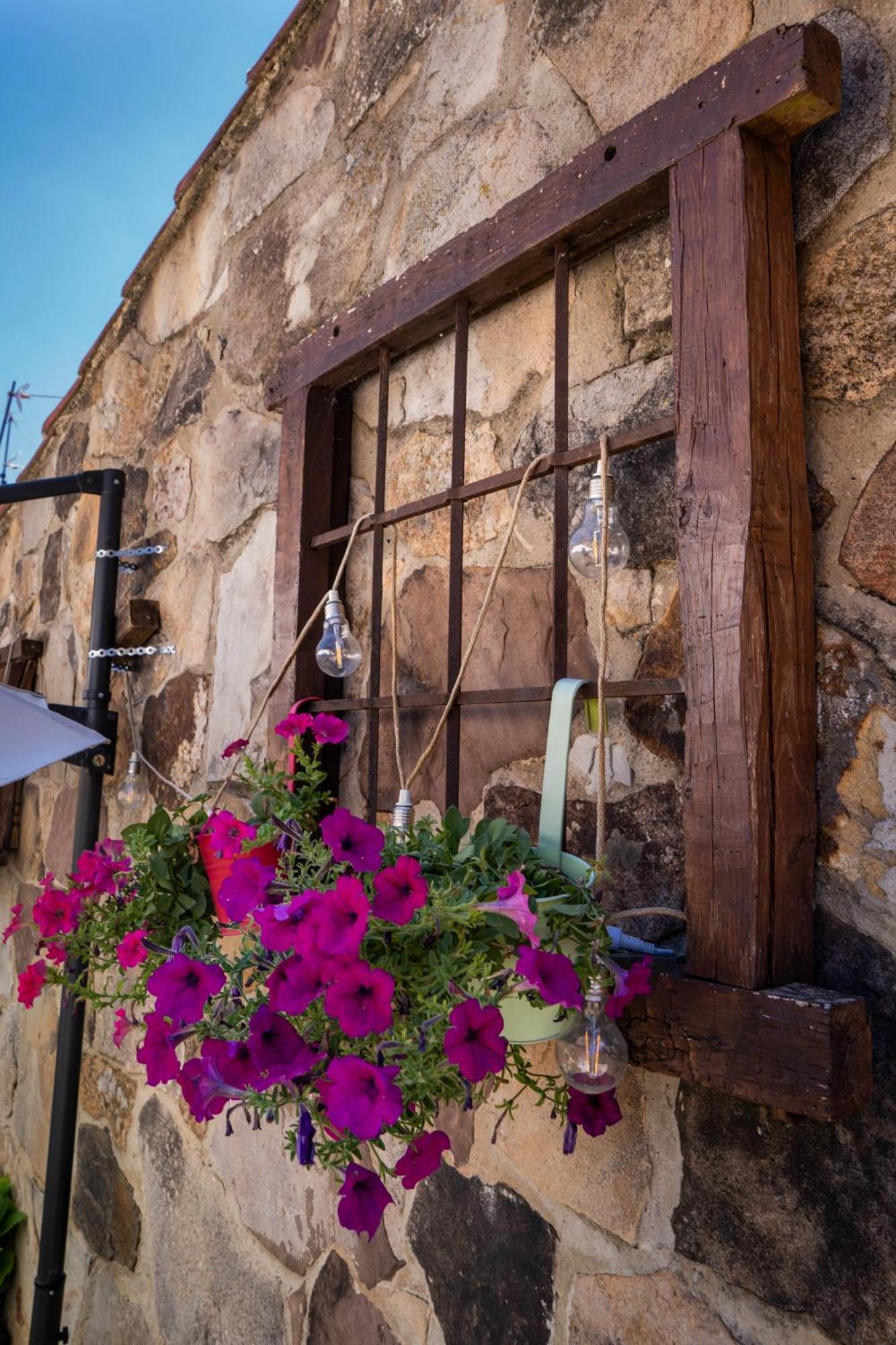 Posada Rural La Pinorra Vinuesa Extérieur photo